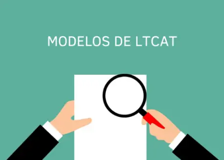 modelo ltcat